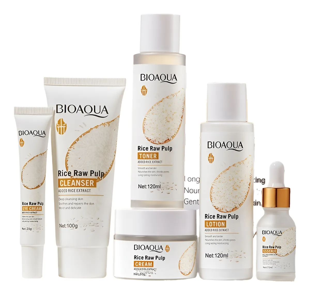 KIT DE ARROZ BIOAQUA X6N3